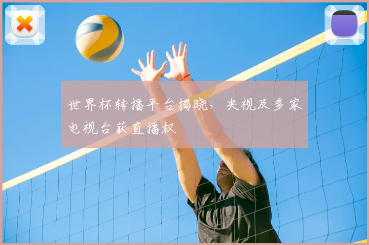 世界杯转播平台揭晓，央视及多家电视台获直播权