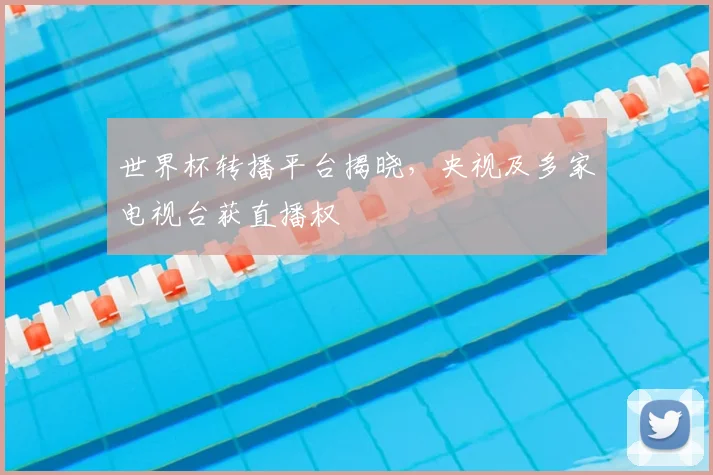 世界杯转播平台揭晓,央视及多家电视台获直播权