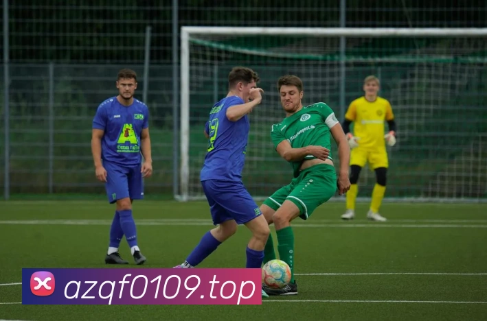 安博站官网登录入口APP 封面图